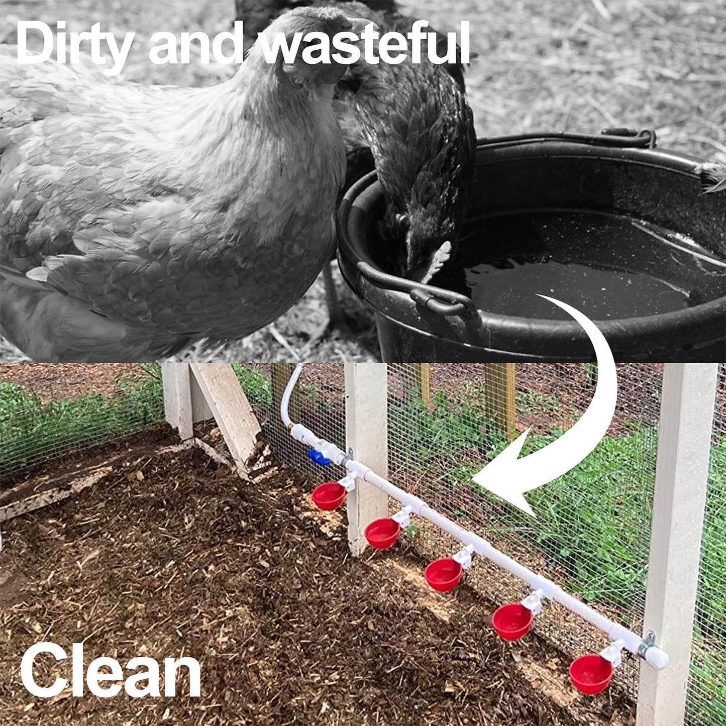 8pack (8) Large Poultry Waterer, Professional Chicken Water Cups for Poultry LANARP Float Style Gravity Chicken