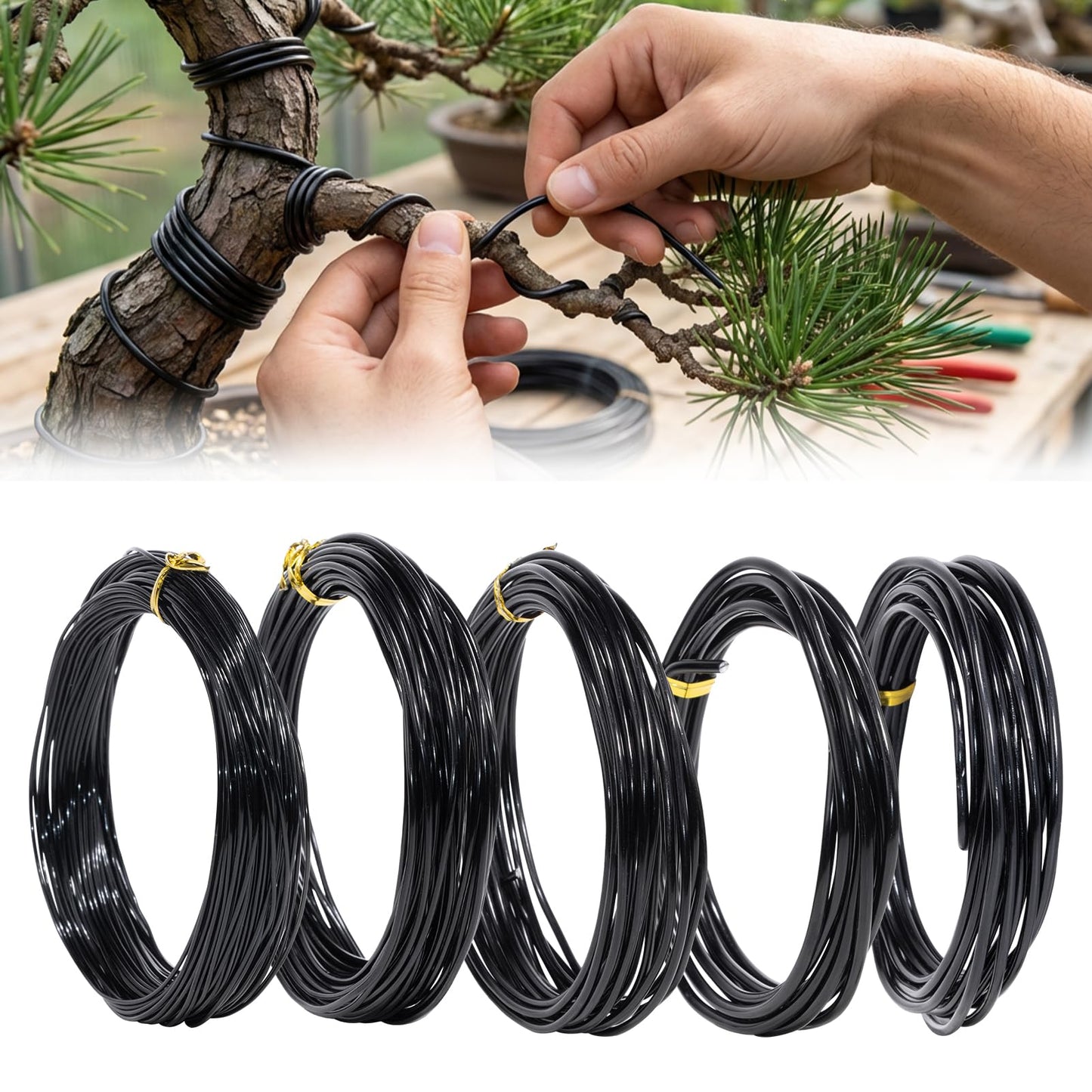 Little pot friend Bonsai Wire Kit, 147 Feet Total 5 Sizes Aluminum Plant Wire for Bonsai Training, Essential Bonsai Tools