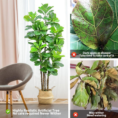 7ft Artificial Fiddle Leaf Fig Tree with Woven Seagrass Plant Basket, Fake Tree Indoor Faux Plant for Living Room Office Floor Home Decor (84 in-2Pack)