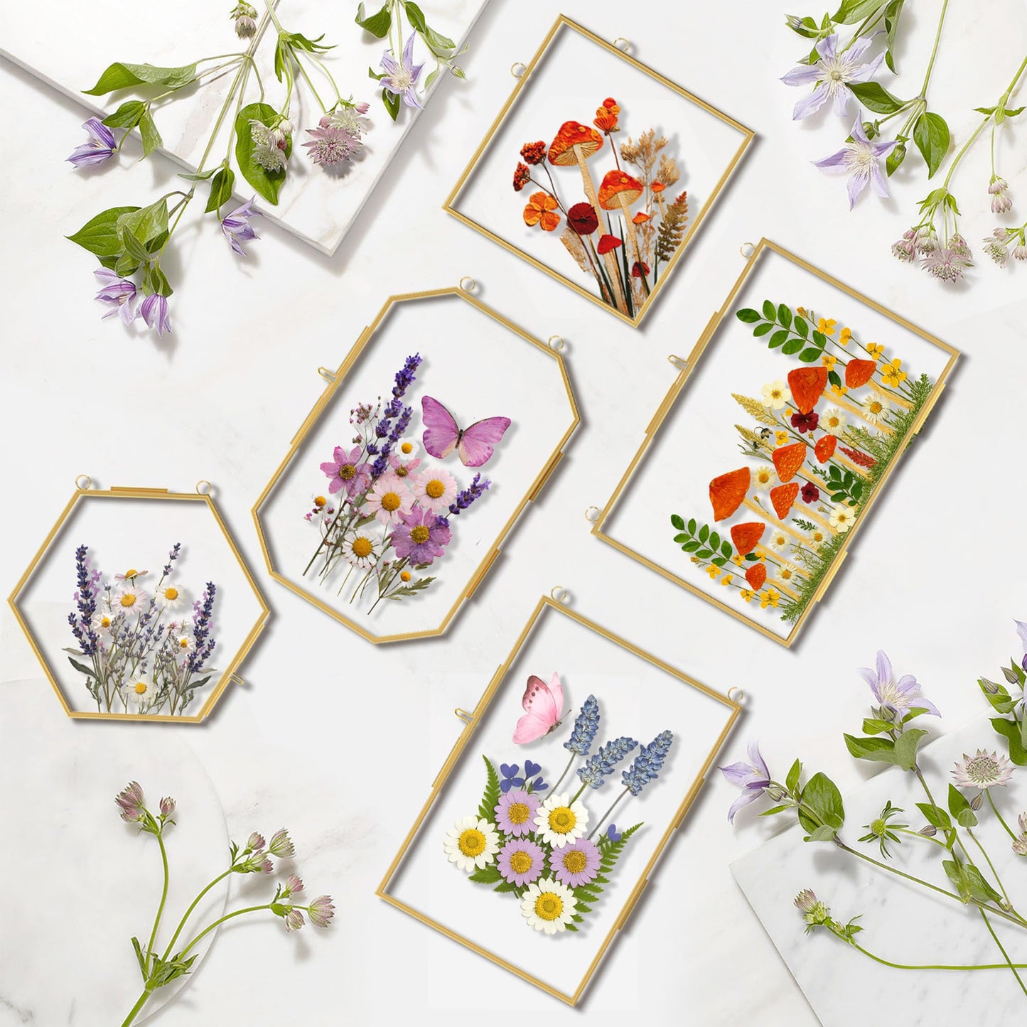 BABUFINE Pressed Flower Frames with Tweezers, Wall Hanging Double Glass Picture Frames with Chain for Dried Flowers Plants Wall Decor,Only Frame (Gold-5PCS)