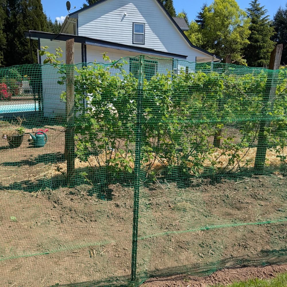 4x100 Plastic Garden Fence FT Deer Fence Netting, Temporary Mesh Fencing Animal Barrier for Deer, Chicken, Poultry