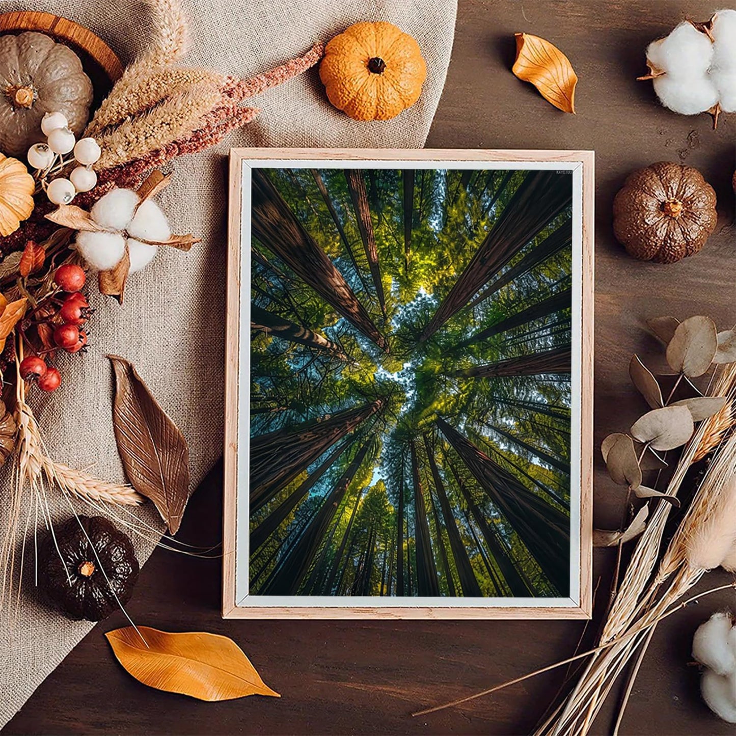 KAYEIUU 5D Diamond Art Painting Kits Large Redwood Trees Seen from Looking Up DIY Round Full Drill Diamond Paint by Diamond Number Kits for Beginners Crystal Cross Stitch Wall Decoration 30x40cm