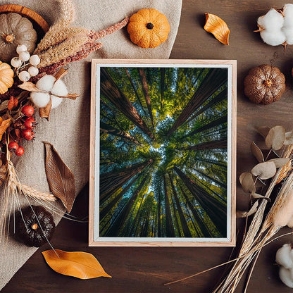KAYEIUU 5D Diamond Art Painting Kits Large Redwood Trees Seen from Looking Up DIY Round Full Drill Diamond Paint by Diamond Number Kits for Beginners Crystal Cross Stitch Wall Decoration 30x40cm