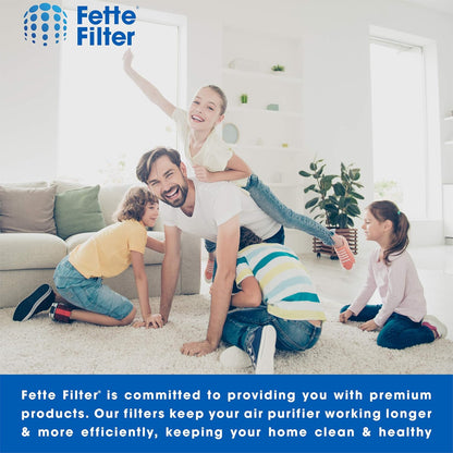 Fette Filter Replacement Filters Compatible with Holmes Filter E, Activated Carbon & Multi Layer, Pack of 2