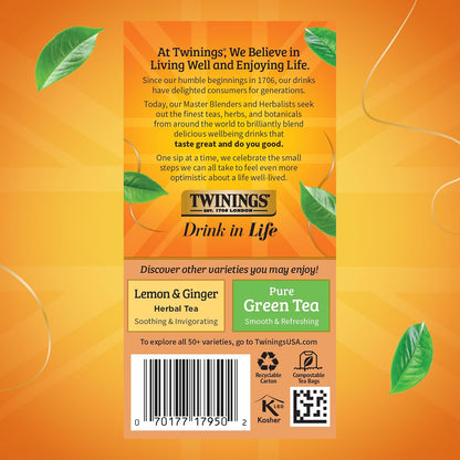 Twinings Herbal Tea - Orange & Cinnamon Spice, Naturally Caffeine-Free, 20 Individually Wrapped Bags (Pack of 6)