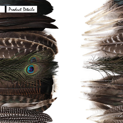iHUFeather 42pcs Natural Pheasant Feathers Bulk Spotted Feathers 7 Styles Mixed Feathers for Crafts DIY Hat Floral Arrangements Wedding Home Decorations