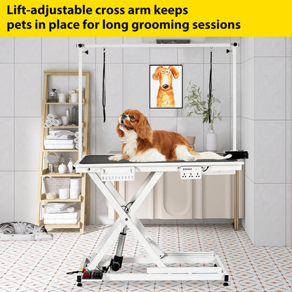 COZONY 50inch Hydraulic Dog Grooming Table,300LBS Electric Grooming Table for Dogs, Professional Pet Grooming Station for Large & Small Dogs