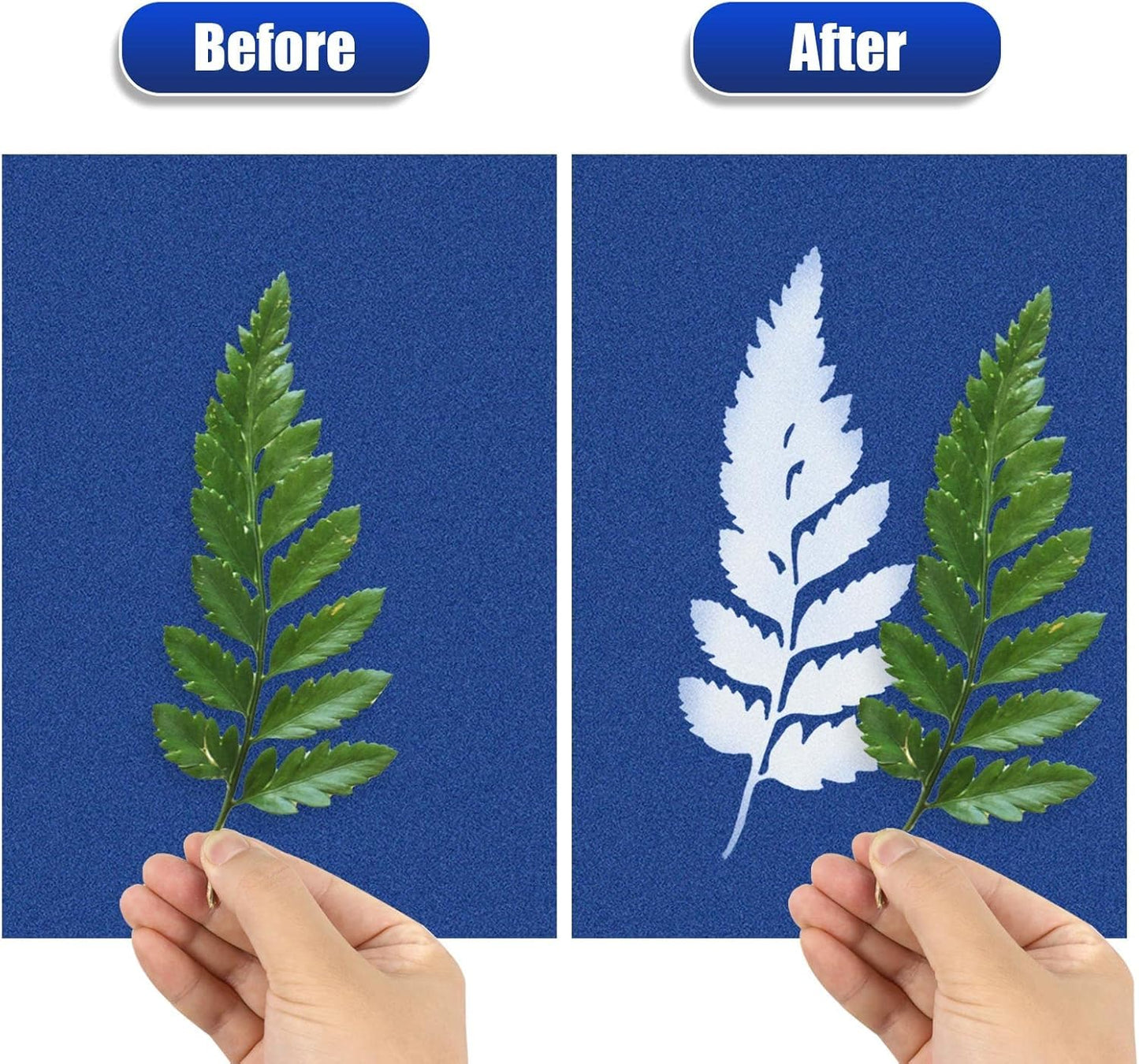 Sun Print Paper Kit Cyanotype Paper, 60 Sheets Cyanotype Papers with 1 Sheet Acrylic Panel, High Sensitive Nature Solar Activated Printing Art Supplies for Arts Crafts DIY Project
