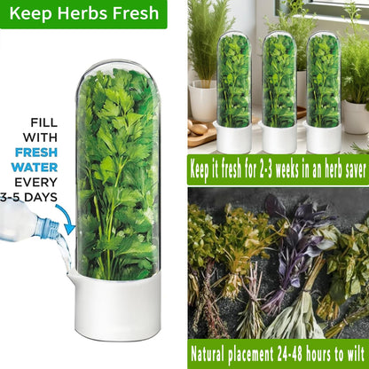 Minkeytal Herb Saver for Refrigerator - Herb Keeper & Cilantro Container for Fridge | Vegetable Preservation Storage Container for Cilantro, Basil, Asparagus | Extends Freshness Up to 2-3 Weeks