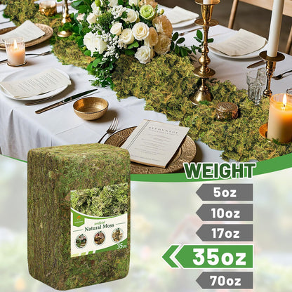 Alphatool 35oz Jumbo Pack Natural Green Moss for Crafts - Bulk Moss for Plants Indoor, Artificial Fairy Gardens, Mosswall, Filling Fake Plants, Floral Design, Home Decoration, Professional DIY Use