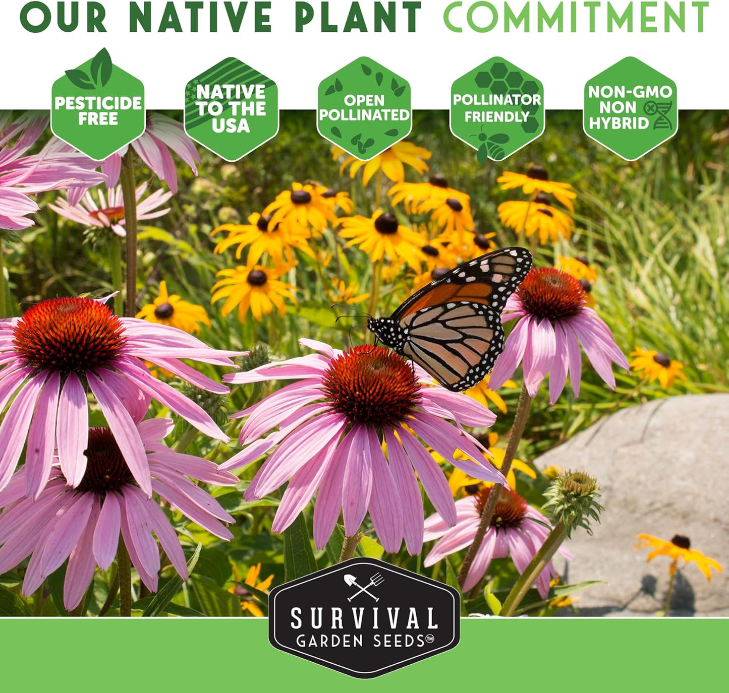 Native Wildflower Seeds | 24 Variety Pack for Butterfly & Bee-Friendly Gardens - Non-GMO Heirloom