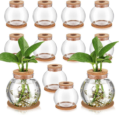 12 Packs Baderke Propagation Vases for Plants Plastic Plant Propagation Station with Hole Lid and Cork Coasters Plant