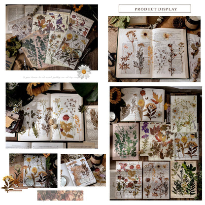Maxleaf Botanic Series Sticker, 80PCS Large Dried Flowers Waterproof Transparent Stickers, PET Nature Plant Floral Stickers for Journaling Scrapbooking, Clear Flower Decals