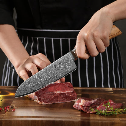 Wakoli EDIB Pro 6-Piece Damascus Knife Set – Professional Chef Knives Set with VG10 Core Blades, 67-Layer Damascus Steel and Ergonomic Pakkawood Handles – Premium Kitchen Knives in Elegant Gift Box