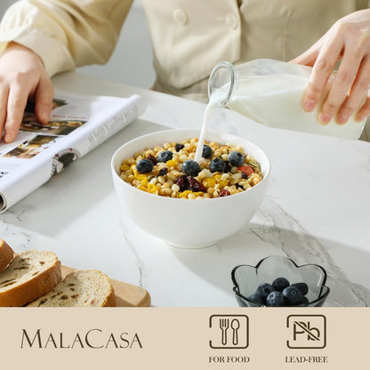 MALACASA 26 oz Porcelain Soup Bowls, White Ceramic Cereal Bowls for Kitchen 6 inch Bowls Set of 6 for Oatmeal Salad Fruit Rice Dishwasher and Microwave Safe, Series Regular