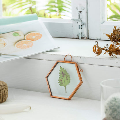 NCYP Hanging Small Rose Gold Hexagon Herbarium, Side Length 1.9 inches Handmade Copper Floating Frame for Pressed Dried Flowers Plants, Double Glass, Wall Decor, Glass Frame Only