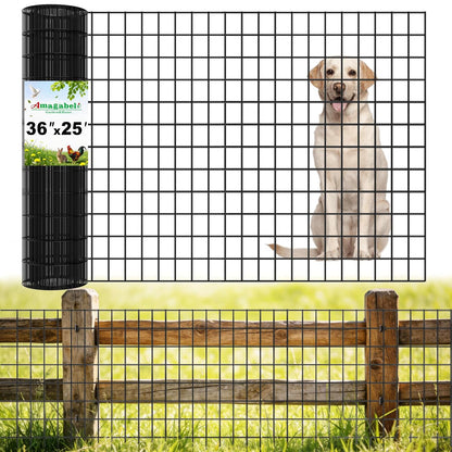 2 inch 3 inch 36inch 25ft 16 Amagabeli Black Coated Welded Wire Fence x x Gauge Garden Fence Chicken Wire Fencing Roll
