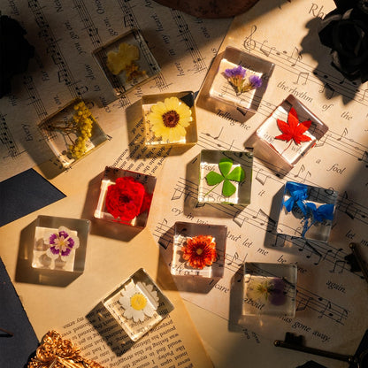12 Pcs Flower Paperweight, Real Flower Specimen Pressed Flowers in Resin, Botanical Paperweights for Desk Decor, Science Education & Unique Display Supplies (12 Pcs Flower Set 3)