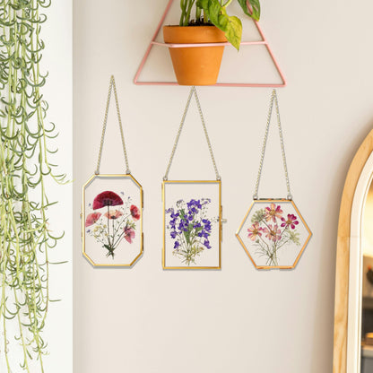 IcosaMro 3 Pack Double Glass Frame for Pressed Flowers 4"x 6" Adult Craft Kits with Brass Glass Frames & 4 Sheets Pressed Flower, Window Hanging Wall Decor Frame for Dried Flowers Leaves Plants