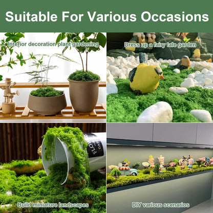 MGLIFEUL 12OZ Artificial Fake Moss for Crafts Plants Indoor with Non-Stick Gloves and Tweezers，Preserved Green Plant Faux Craft Moss Musgo for Fairy Garden Indoor Outdoor Home Decorating Model Making