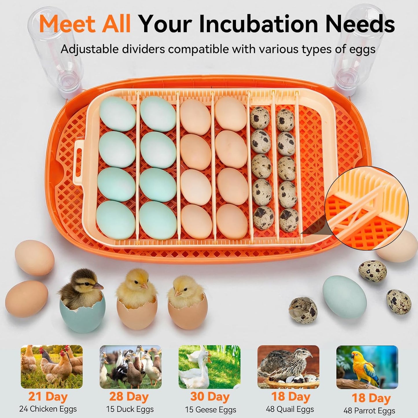 24 360Viewing Incubators for Hatching Eggs, Egg Incubator, Automatic Egg Turner with Humidity Control & Digital