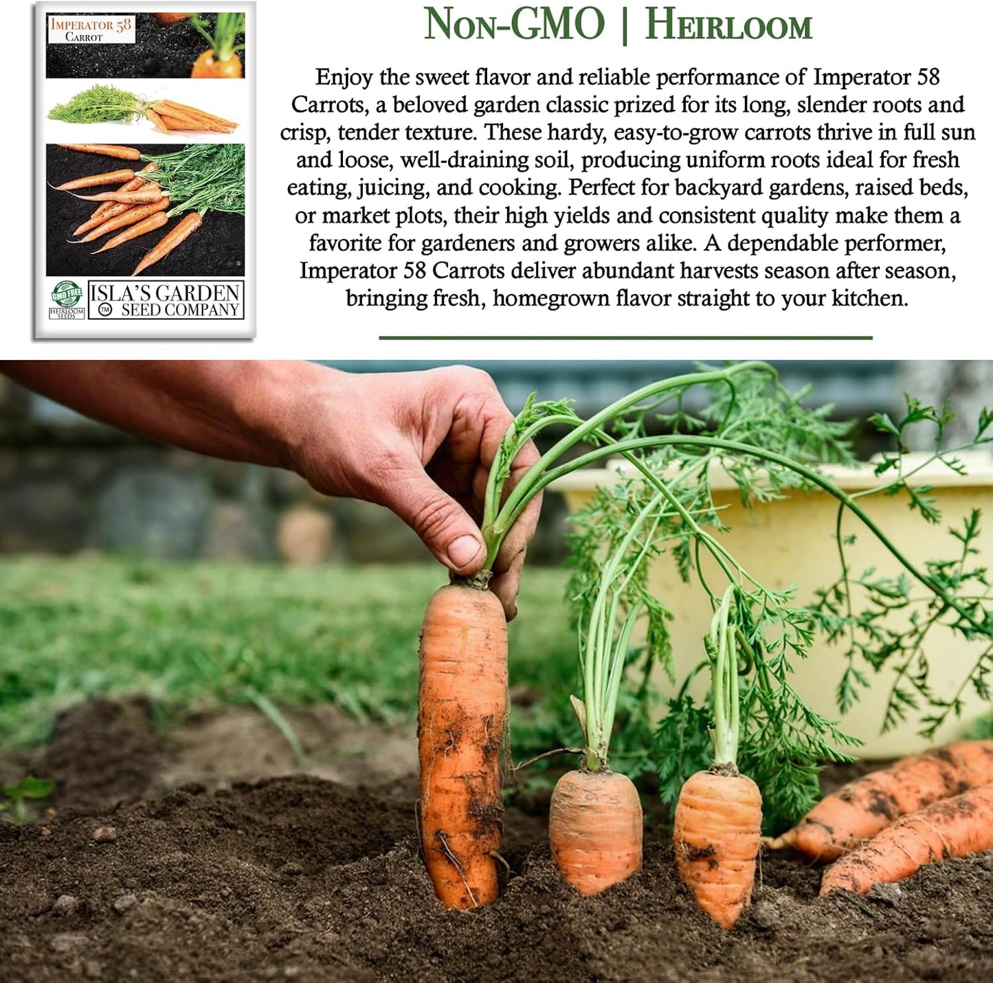 58 500+ Imperator Carrot Seeds (Daucus carota) Non-GMO & Heirloom Seeds, Long and Sweet Carrots for Juicing, Fresh