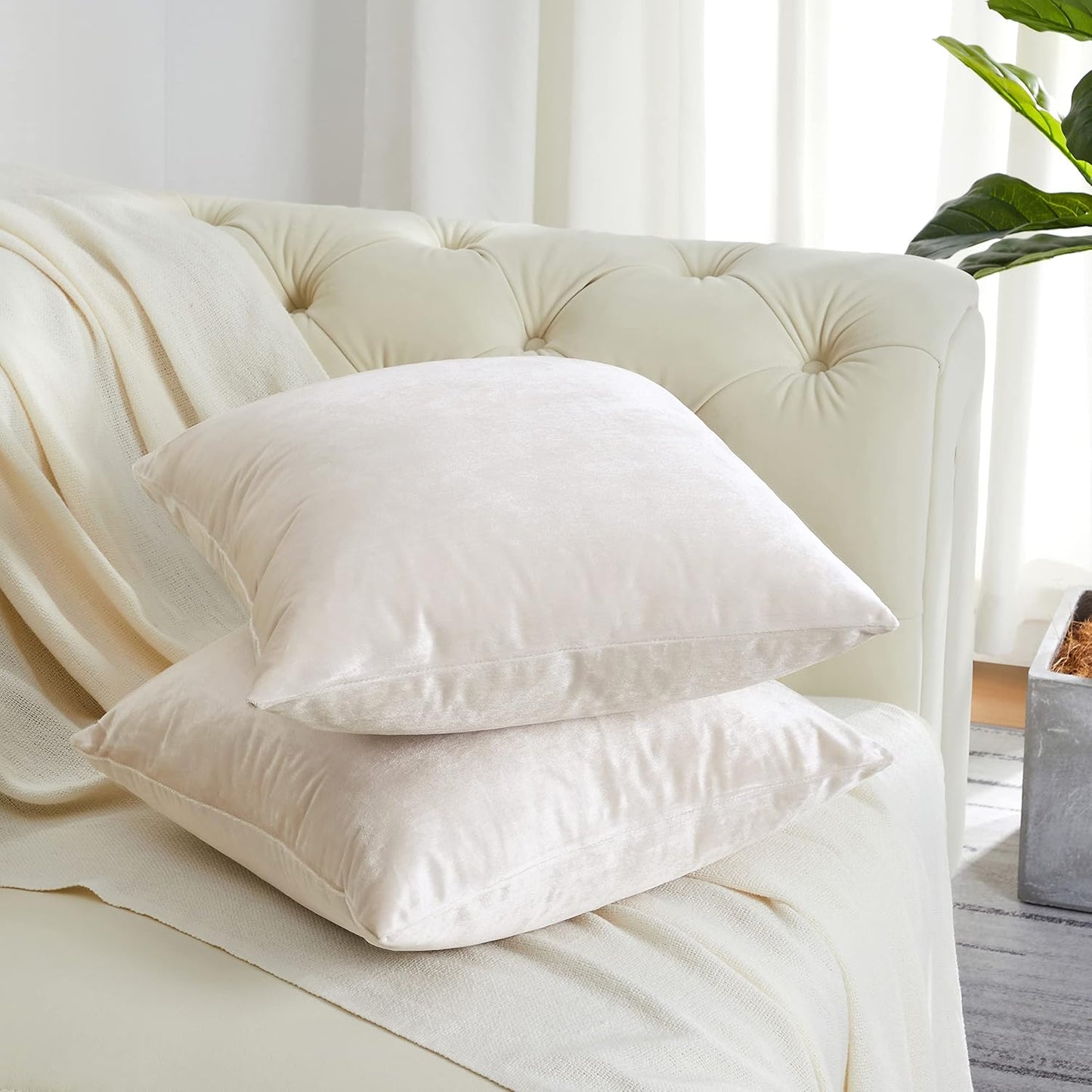 GIGIZAZA Velvet Ivory Throw Pillow Covers, Decorative Cushion Covers, 4pcs (18x18inch/45x45cm) for Sofa Couch