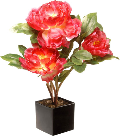 National Tree Company Artificial Flowers - Fuchsia Peony, 15 in, Includes Ceramic Pot Base