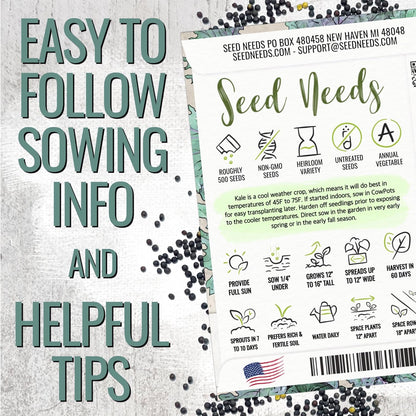 (1 Pack) Seed Needs Kale Seeds for Planting Red Russian Kale Vegetables - Non-GMO Heirloom & Untreated Vegetable Seed