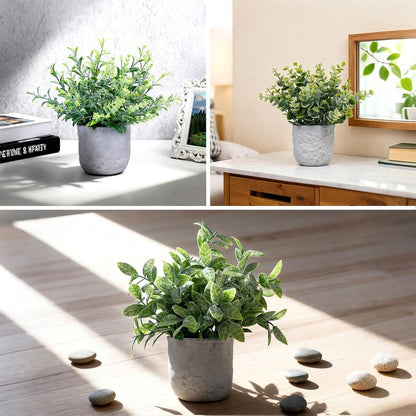 FGSAEOR Mini Potted Fake Plants, Small Artificial Greenery Realistic Plants Topiaries, Low Maintenance, for Home Office Shelf Desk Farmhouse Room Coffee Table Decor (3-Pack) (Grey (Round Pot))