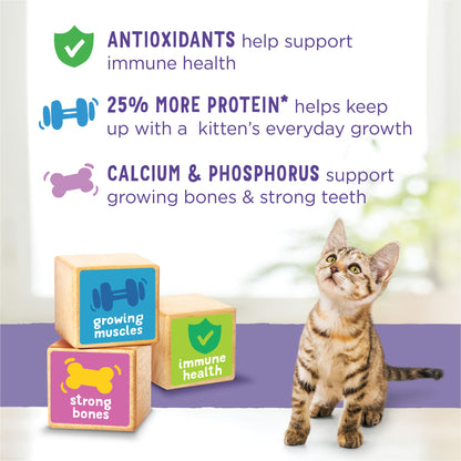 Purina Kitten Chow 14lb