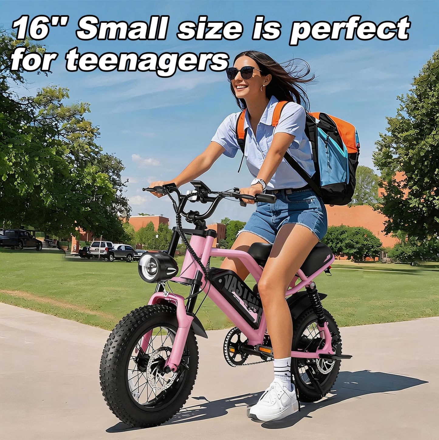 VDL Mountain Electric Bike for Teenager, 16" Fat Tire Ebike, Wider Seat 800W Peak Motor, Removable Battery, Front Fork Suspension, 20MPH, UP to 35 Miles Mountain Ebike, Black-Pink