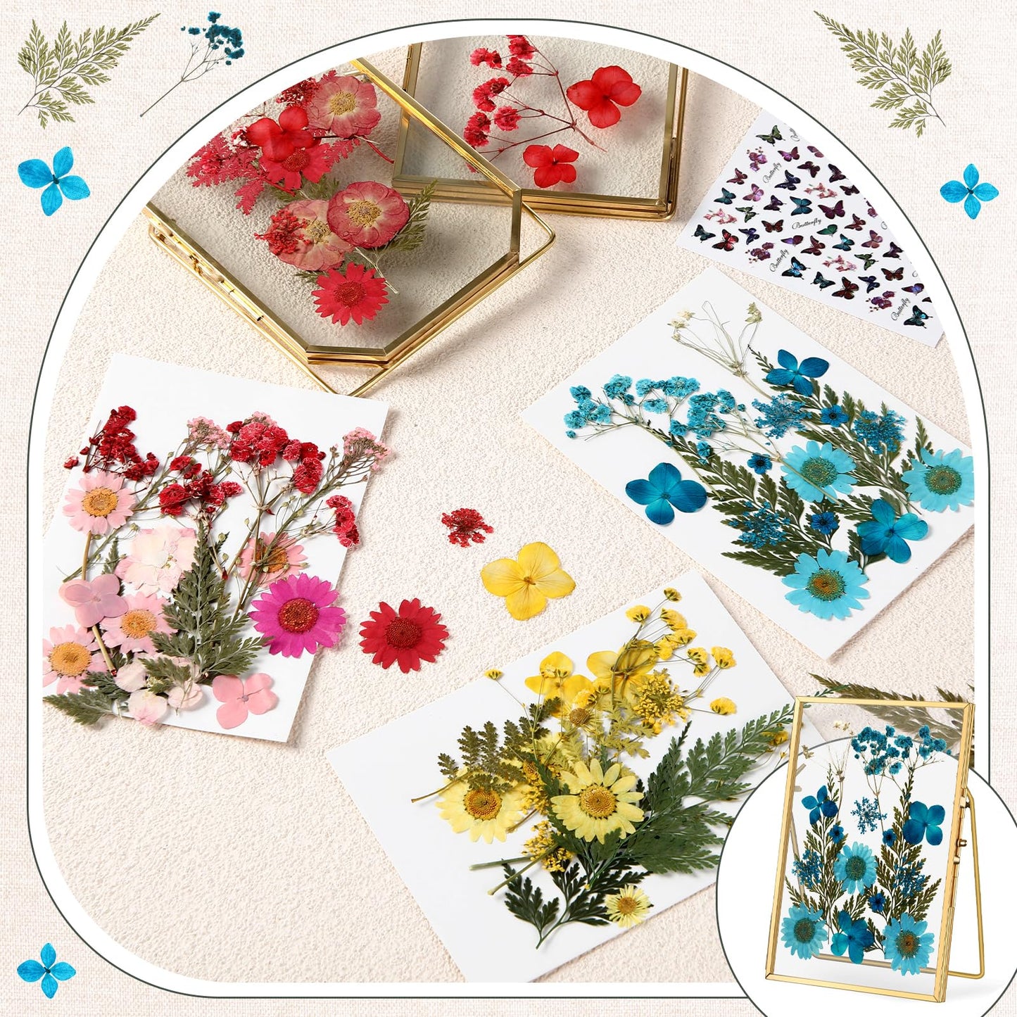 Amyhill 2 Pcs Glass Pressed Flower Frame with Dried Pressed Flowers, Brass Double Glass Photo Frame Includes 72 Pcs Real Dried Flowers, 65 Piece Butterfly Stickers and Tweezer for Handicrafts