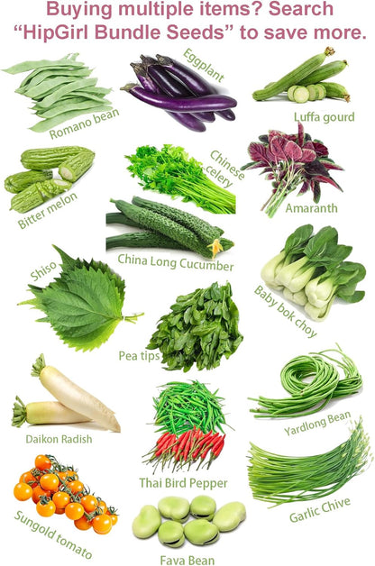 HipGirl Fall/Spring-4000+ Stem,10g) Sow in Bok Choy Seeds for Sprouting,Chinese Cabbage Seed