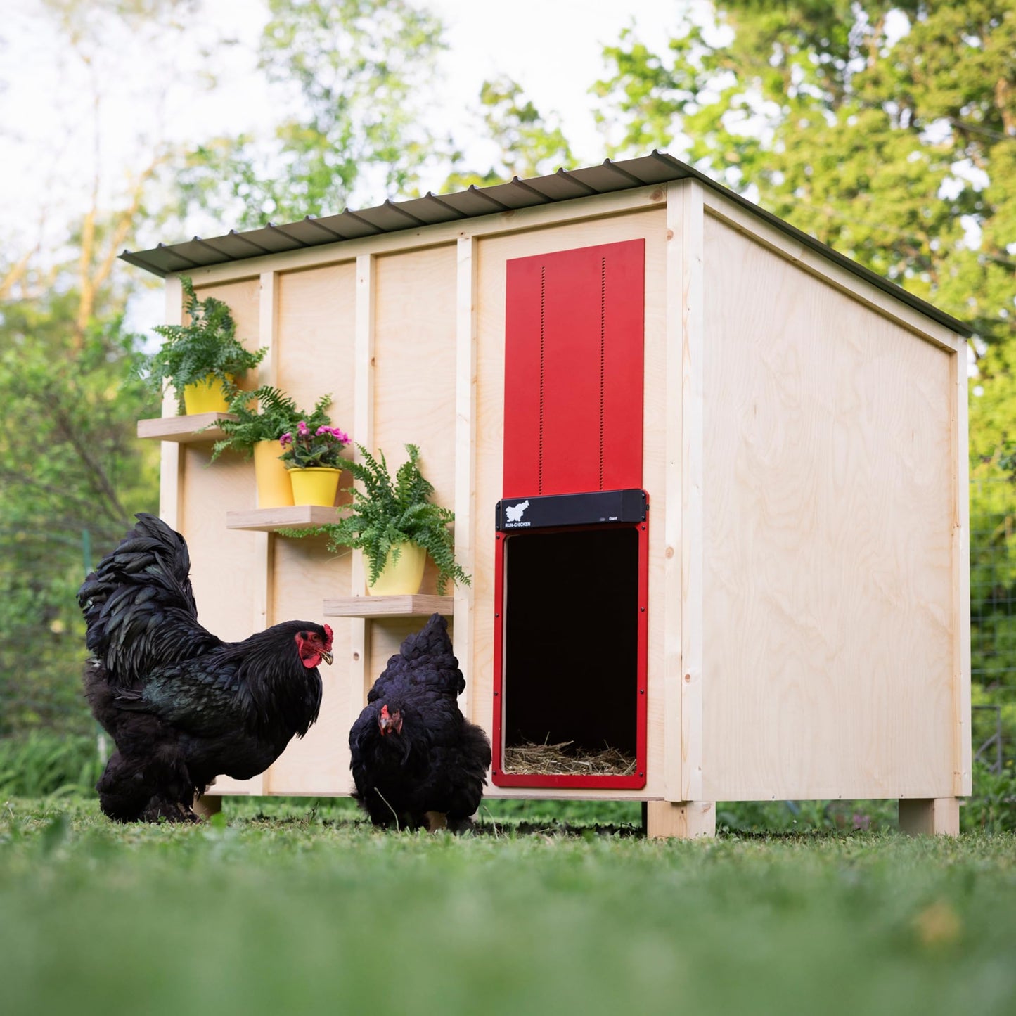 RUN-CHICKEN Door Giant – Large Automatic Poultry Coop Door for Ducks & Turkeys, Not for Chickens, Battery Powered/Solar Compatible, Heavy-Duty Aluminum, Predator Proof, Easy Install (Red)
