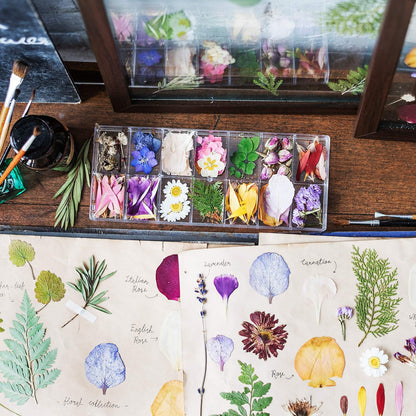 Nuanchu 223 Pcs Real Dried Pressed Flowers for Crafts Natural Dried Leaves and Butterfly Stickers Set Colorful Daisy Flowers and Adhesive Butterfly Decals for DIY Resin Jewelry Nail Crafts Floral Art