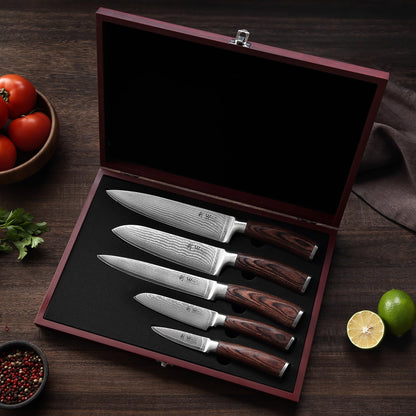 Wakoli EDIB 5-Piece Damascus Knife Set, Professional Kitchen Knives made of 67-Layer Damascus Steel with VG10 Core Blades, Ergonomic Pakkawood Handles, In Wooden Gift Box