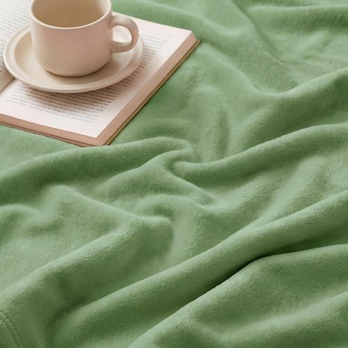 Bedsure GentleSoft Green Fleece Blanket - Luxuriously Soft Lightweight Plush Queen Size, Emerald 90x90 Inches