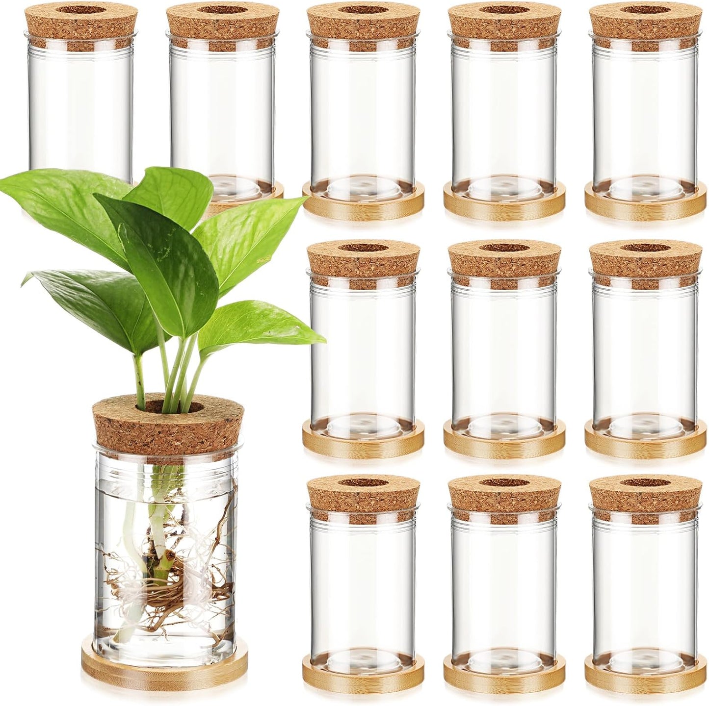12 Packs Baderke Propagation Vases for Plants Plastic Plant Propagation with Hole Lid and Bamboo Stand Growing in Water