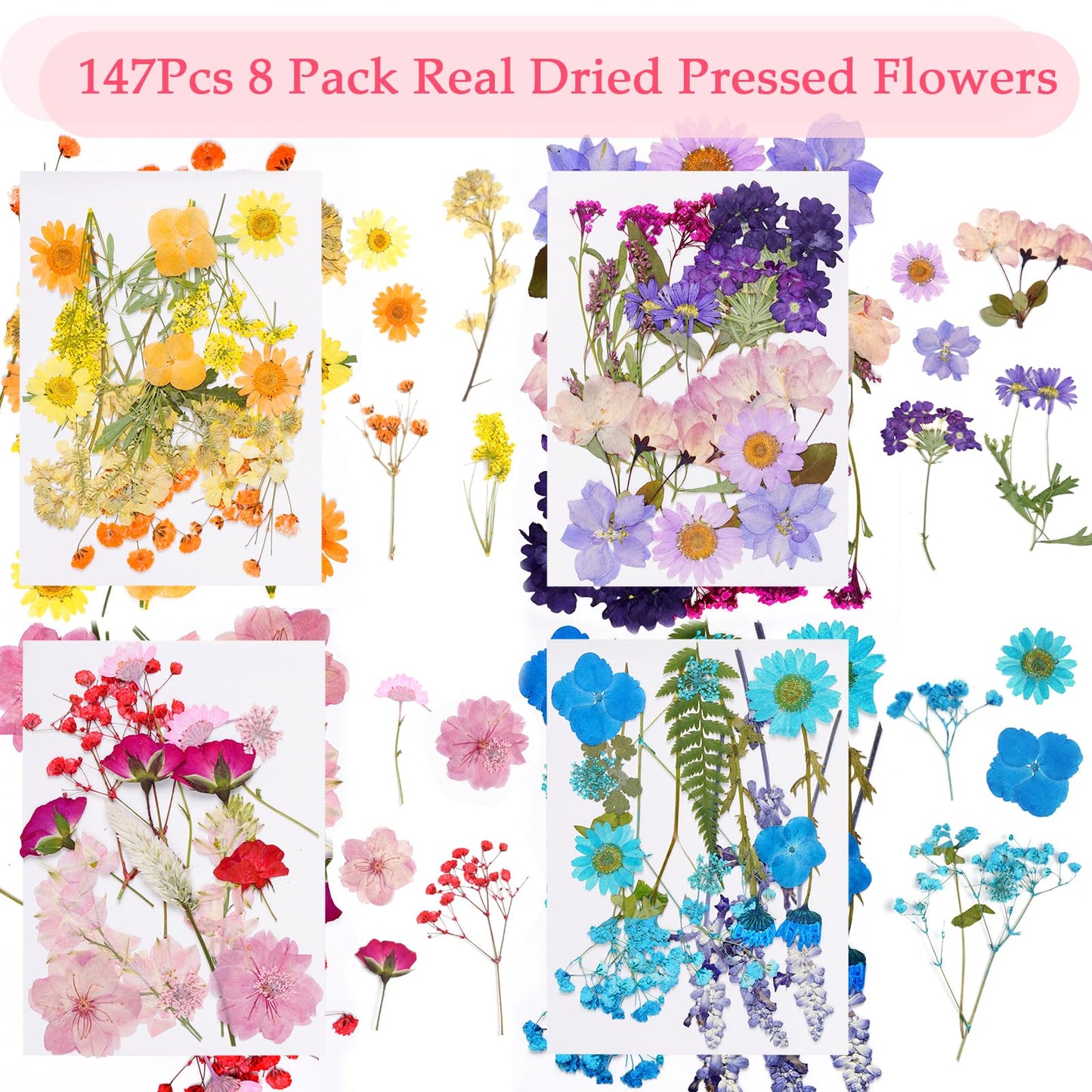 Dfqsofd 228Pcs Pressed Dried Flowers with Butterfly Stickers for Crafts, Natural Real Dried Pressed Flowers for DIY Art Butterfly Stickers Tweezers for Candle Soap Making, Scrapbook