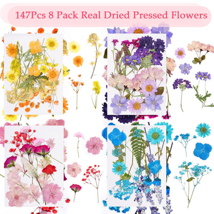 Dfqsofd 228Pcs Pressed Dried Flowers with Butterfly Stickers for Crafts, Natural Real Dried Pressed Flowers for DIY Art Butterfly Stickers Tweezers for Candle Soap Making, Scrapbook