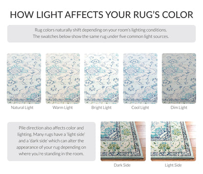 SAFAVIEH Monaco Collection Area Rug - 9' x 12', Light Blue & Ivory, Non-Shedding & Easy to Clean, Distressed Medallion Design, Ideal for Living Room, Bedroom, Dining Space (MNC243K)