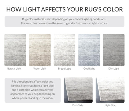 SAFAVIEH Area Rug 10x14 - Adirondack Collection - Large - Ivory & Silver, Modern Ombre Design, Non Shedding & Easy to Clean, Ideal for Living Room, Bedroom, Office, Dining Space (ADR113B)