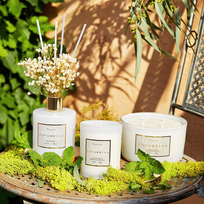 Set 6.7oz Cocorrna Premium Reed Diffuser with Preserved Baby's Breath & Cotton Stick Coconut Lime | Scent Fragrance Oil