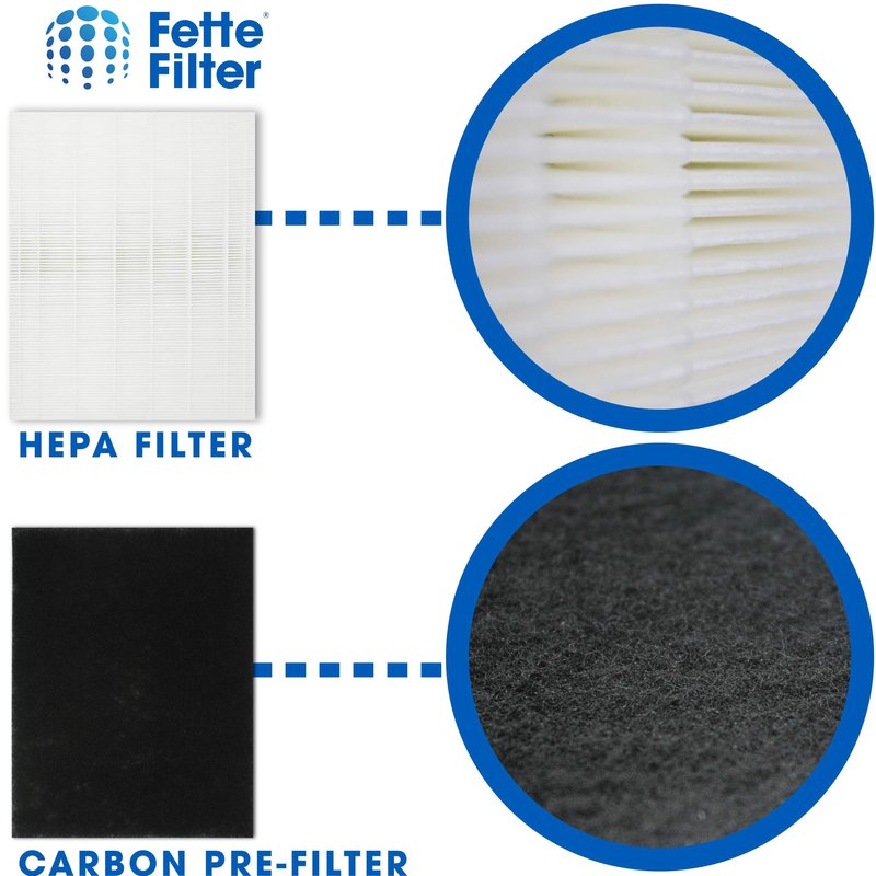 Fette Filter - 115115 Premium True HEPA H13 Filter Compatible with Winix Filter A 115115 Size 21 Plasma Wave Air Purifier AM90 P300 5300 5500 5300-2 6300-2 6300 C909 9800 C535 - Pack of 2 + 8