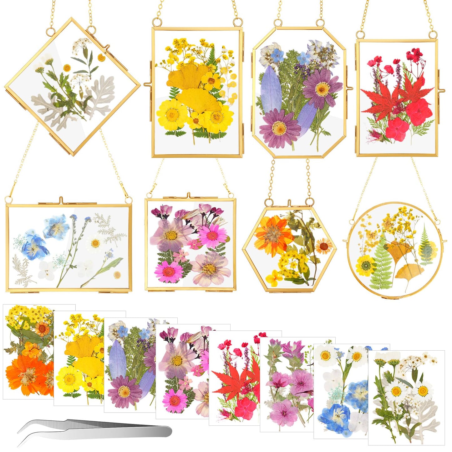 Barydat 8 Set Double Glass Pressed Flower Frames Gifts Wall Hanging Photo Picture Frame with Bag Dried Flowers Chains Gift for Artwork Frame Home Decor Plant Photo Display, 8 Shapes(Gold)