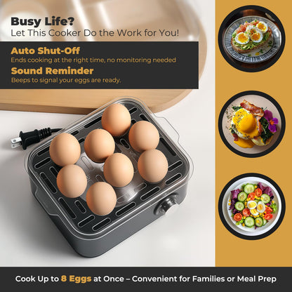 Annie & Mia Design Stainless Steel Electric Rapid Egg Cooker, 8 Egg Capacity 500W, Soft/Medium/Hard Boiled Egg Boiler Poacher Steamer Omelet Maker, Knob Auto Shut-Off, with Recipe Guide Book (Black)