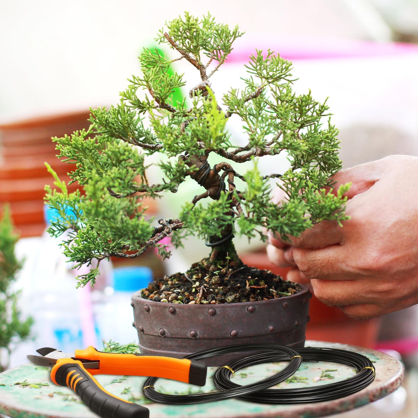 Mudder 5 Roll Aluminum Bonsai Training Wire Tree 1/1.5/2.0mm 160 Feet Total with Bonsai Wire Cutter Anodized Training for Holding Branches Small Trunks(Classic)
