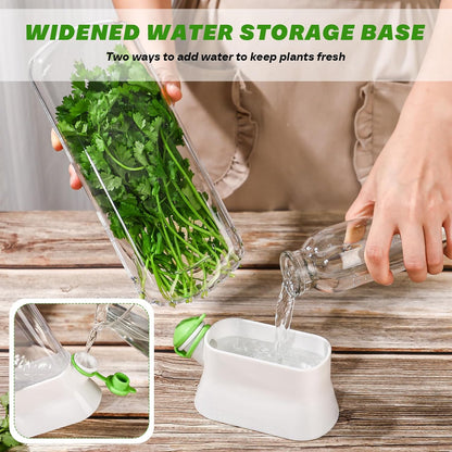 2 2-3 Baderke Pieces Herb Saver for Refrigerator Herb Keeper Herb Storage Containers Herb Saver Pod for Cilantro