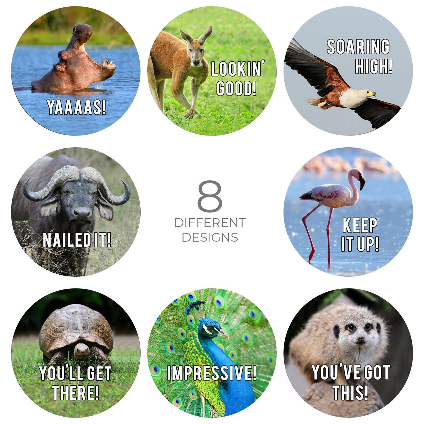 Motivational Animal Stickers / 500 Students Patients Incentive Labels Roll / 1.5" Funny Inspirational Animal School Clinic Reward Sticker / 8 Humorous Designs/Made in The USA